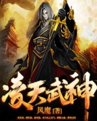 凌天武神书评区 - 红薯中文网