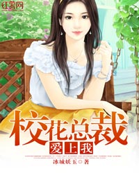 校花老总小说_校花美女