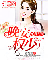 宠妻入骨:晚安,权少txt-全文免费阅读
